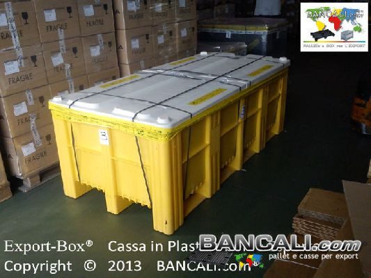 Cassa per Export in Plastica Lunga 2 M. Lr 120 cm coperchio